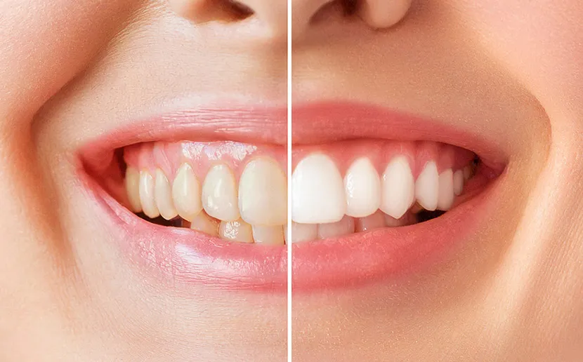 30704 qualified dentist woodlands